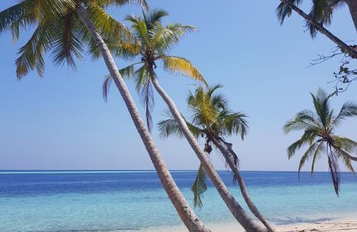 Felidhoo Casa | Vaali Maldives Island Escapes & Dive