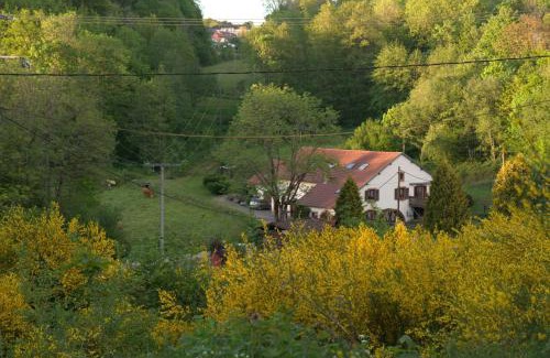 Ban-de-Sapt Apartamento | Vacance conviviales dans les Vosges 8 Gîtes