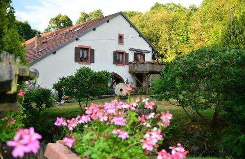 Ban-de-Sapt Apartamento | Vacance conviviales dans les Vosges 8 Gîtes
