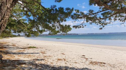 Fouesnant Apartamento | Vacances Ô Loch - Studio à 200 mètres de la plage - Le Cap Coz Fouesnant