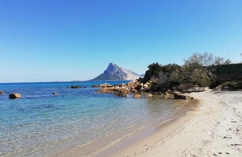 Monte Petrosu Casa | vacanze a Monte Petrosu