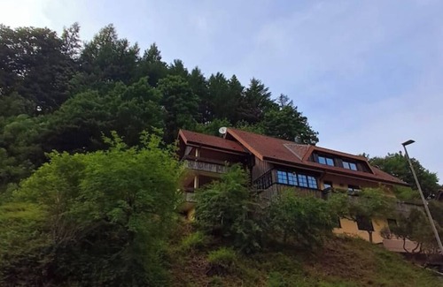 Bad Rippoldsau-Schapbach Apartamento | Vacation apartment at the pond with Black Forest Plus card