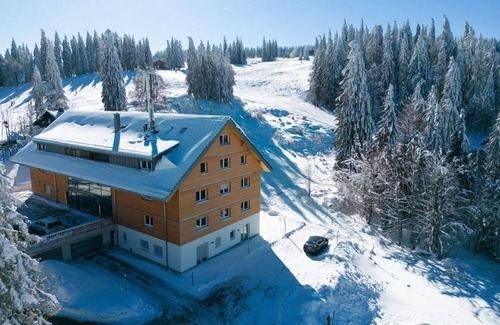 Feldberg Apartamento | Vacation apartment/apartment for 4 guests with 58m² in Feldberg (Black Forest) (170529)