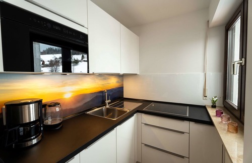 Todtnau Apartamento | Vacation apartment/apartment for 2 guests with 39m² in Todtnau- Todtnauberg (250101)