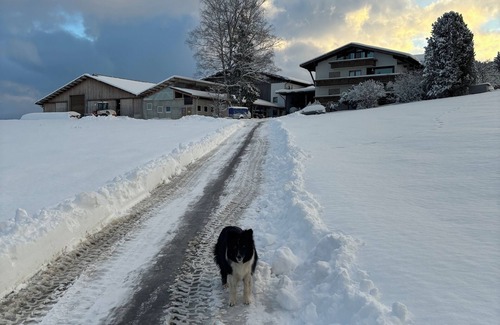 Stiefenhofen Apartamento | Vacation apartment on an active farm