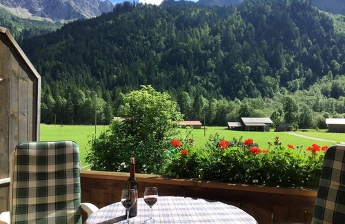 Hinterstein Apartamento | Vacation apartment Starker Hans - House Evi Wechs