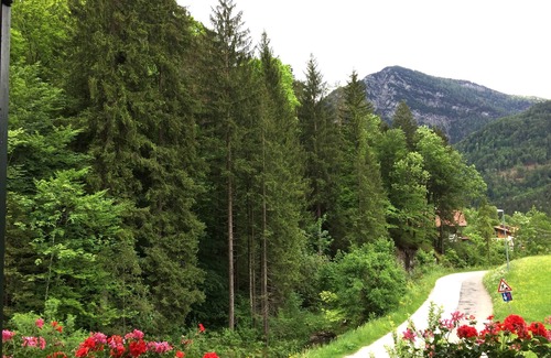 Weissbach an der Alpenstrasse Apartamento | Hermoso apartamento de 3 estrellas en paz. calef. Ubicación en la tierra de Berchtesgadener.