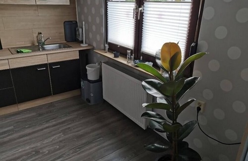 Diemelsee Apartamento | Vacation apartment/apartment for 3 guests with 56m² in Diemelsee (184284)