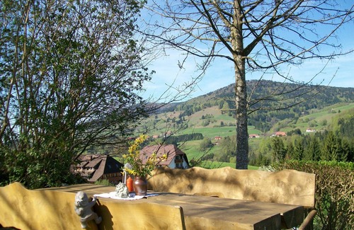 Frohnd Apartamento | Vacation apartment/apartment for 5 guests with 70m² in Fröhnd (183303)
