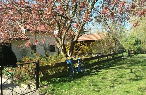 Bad Kleinen Apartamento | Vacation apartment/apartment for 3 guests with 20m² in Bad Kleinen (248055)