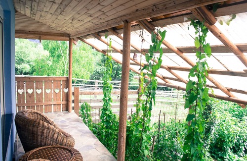 Viseu de Sus Casa | Vacation apartment on a farm