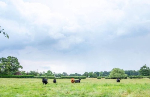 Abbess Roding Casa | Casa de vacaciones The Milking Parlour en Cranbrook - Hawkhurst - 4 personas, 2 dormitorios