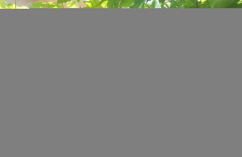Espinhel Casa | Casa de vacaciones Espinhel en Piedade/Águeda - 10 personas, 4 dormitorios
