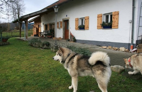 Blaibach Apartamento | Vacation home with 600sqm garden and three bedrooms for up to 7 people