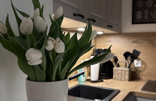 Schwerin Apartamento | Vacation in the Kavaliershaus, apartment "Julia" on the first floor