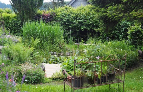 Bergneustadt Apartamento | Vacation in the nature garden - apartment/apartment, shower or bath, WC, 1 bedroom