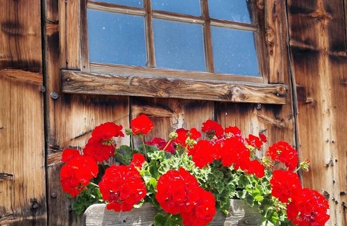 Ferndorf Otro | Vacation on the farm