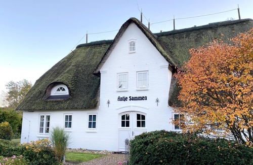 Norddorf Apartamento | Vacation with dog incl. swimming pool and sauna