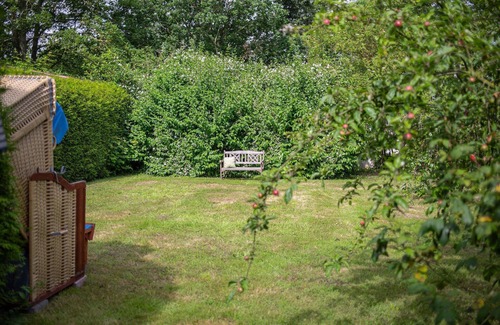Puttgarden Apartamento | Vacations in Fehmarn: Relax and experience in the Apfelblüte vacation apartment