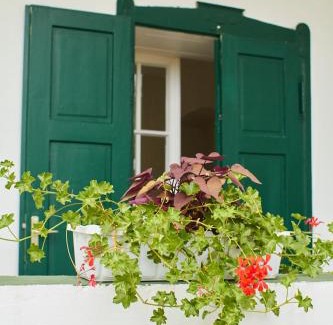 Racalmas Casa | Vadrózsa Vendégház Rácalmás