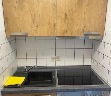 Groenebach Apartamento | Vakantie Service Winterberg Studio Sels