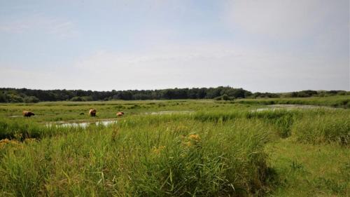 Den Helder Casa | Vakantiehuis Merel