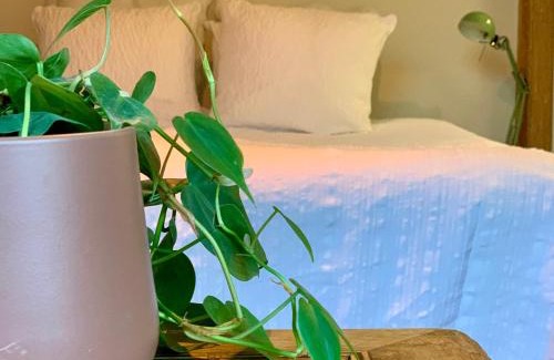 Lanklaar Casa | Vakantiewoning Guesthouse MOMO