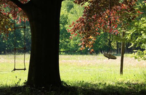 Meeuwen-Gruitrode Cabina | Vakantiewoning Heidebos in het Nationaal Park Hoge Kempen