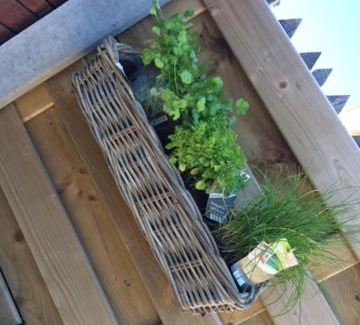 Watou Apartamento | Vakantiewoning Petit Watou