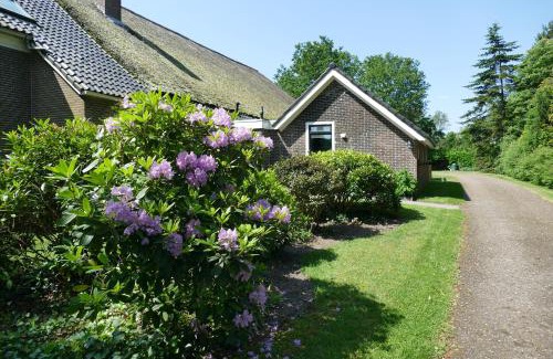 Kostvlies Casa | Vakantiewoning 't Stookhok Gasselte