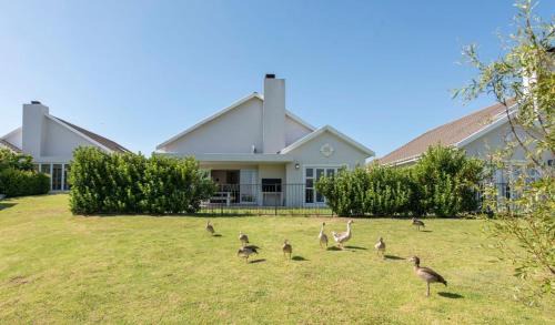 Cape Winelands Casa | Val de Vie