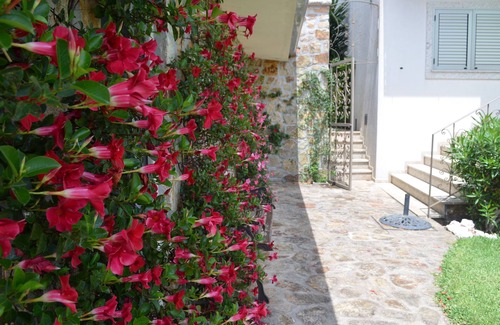 Santa Maria da Feira Casa | Valadas Guest House - Villa de 4 dormitorios con piscina
