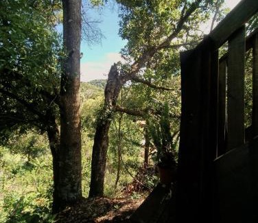 Copey Casa | Valchi Hospedaje de Montaña