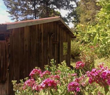 Copey Casa | Valchi Hospedaje de Montaña