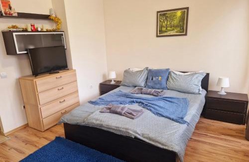 Borovets Apartamento | VALENTINA`S STUDIO in "BOROVETS GARDENS" hotel