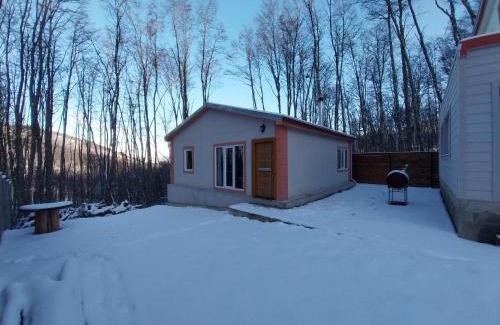 Province of Tierra del Fuego Chalet De Esquí | Valle del Olivia Cabaña Esquiador