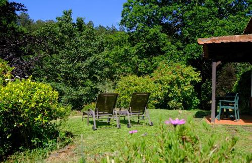 Camacha Casa | Valle Paraizo