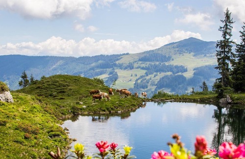 Muhlthal Cabaña | Valley view - Gasthof Schöntal