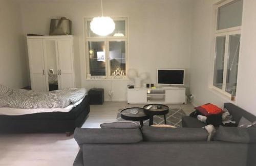 Rauma Apartamento | Valoisa avara yksiö loistavalla sijannilla
