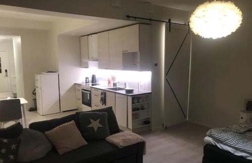 Rauma Apartamento | Valoisa avara yksiö loistavalla sijannilla