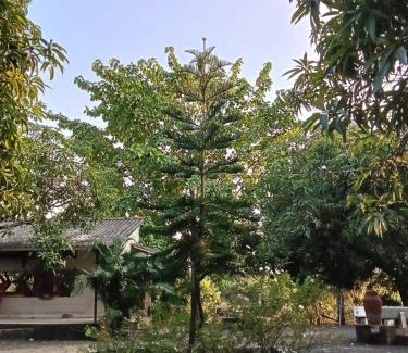 Gir National Park Casa | Van Vagdo Prakruti Nivas