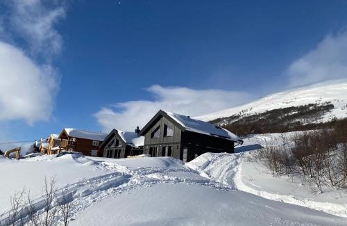 Oppdal Casa | Vangslia, Oppdal. Lekker leilighet med ski inn/ski ut
