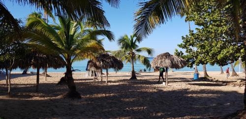 Dominicus Apartamento | Vanilla House