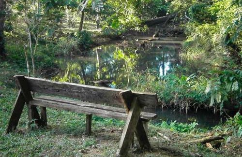 Sarapiqui Cabina | Vanilla Jungle Lodge - Rainforest Waterfall Garden