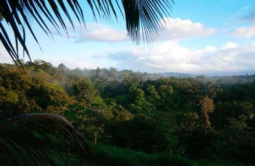 Sarapiqui Cabina | Vanilla Jungle Lodge - Rainforest Waterfall Garden