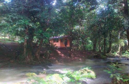Sarapiqui Cabina | Vanilla Jungle Lodge - Rainforest Waterfall Garden