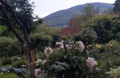 Arandelovac Apartamento | Vanja's happy place