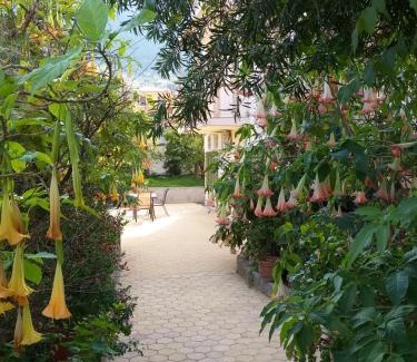 Leonidio Apartamento | Vanna's Apartments