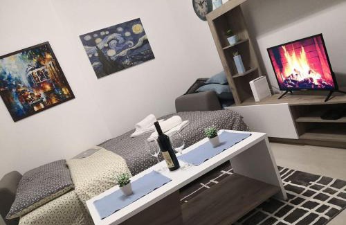 Grbavica Apartamento | Vasa Central Studio