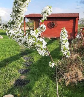 Bauska Casa | Vasaras brīvdienu māja, Bauska